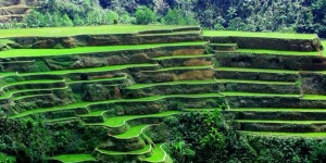Banaue rice terraces